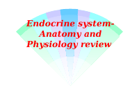 ENDO SYS 1.ppt